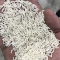 برنج هاشم درج یک بوجاری