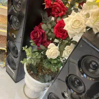 باند خانگی|سیستم صوتی خانگی|خسروشاه, |دیوار