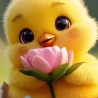 نظافت پله وراه پله با قیمت مناسب