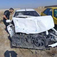 سمندتصادفی