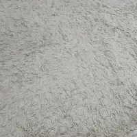 فرش ۲.۲۵در۲ونیم پرزبلند