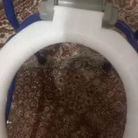 توالت فرنگی نو|لوازم سرویس بهداشتی|پاکدشت, پاکدشت (مامازند)|دیوار