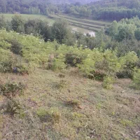 فروش-زمین-باغی-متراژ-530متر