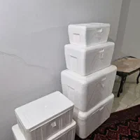 یخدان اکاستیو اکاسیف یخچالی.یخ خشک موجود است