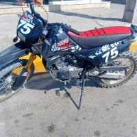 تریل روان دینو