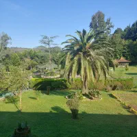 آپارتمان ۴۵ متری پیکانشهر