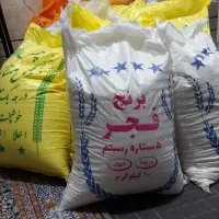 برنج فجر و چمپا