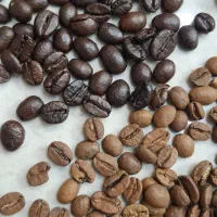 فروش عمده و جزئی قهوه ارسال به سراسر ایران|عمدهفروشی|تهران, اسکندری|دیوار