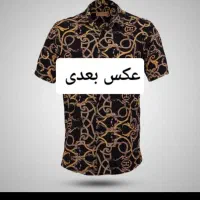 سفید پرشی