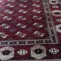 فرش دستبافت زیرقیمت|فرش|بندر ترکمن, |دیوار