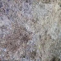 ۱۵۰۰۰۰۰۰|عمده‌فروشی|گنبد کاووس, |دیوار