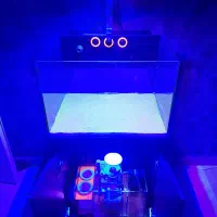 آکواریوم آب شور