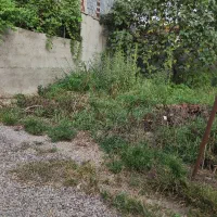 زمین با سند تک برگ مسکونی راسته کنار -گلستان|فروش زمین و ملک کلنگی|خمام, |دیوار