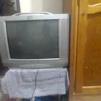 تلوزیون