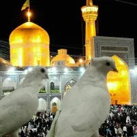 کاروان زیارتی مشهد مقدس ۷آبان و۱۸آبان