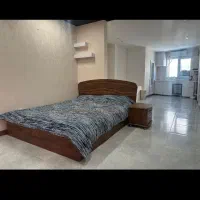 نیازمند هم خونه دختر