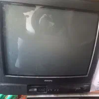 تلویزیون پارس