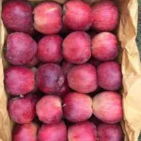 فروش ۷۰ جعبه سیب در چالدران|عمدهفروشی|چالدران, |دیوار