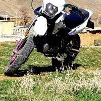 تریل ۲۰۰ در حد