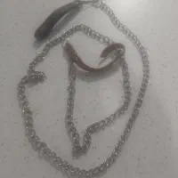 قلاده ی سنجاب