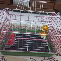 قفس حیوانات