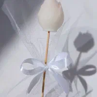 گیفت شمع|صنایع دستی و سایر لوازم تزئینی|قائن, |دیوار