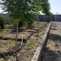 باغچه ۷۶۰ متری جاده دشت سبز