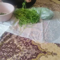 فروش سمبوسه|خوردنی و آشامیدنی|اصفهان, لاله|دیوار
