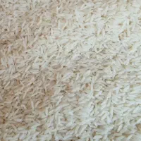 ده کیلو برنج هاشمی