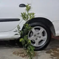 معاوضه رینگ تورنادو سایز ۱۴ تقریبا ۲۰روزه خرید کرد