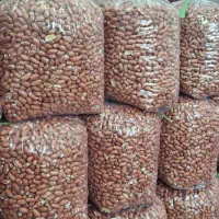 به یک نفر فروشنده خانم نیازمندیم