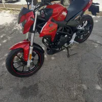 دینو z2 خشک