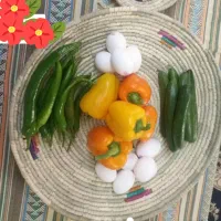 ظروف حصیری دست بافت|صنایع دستی و سایر لوازم تزئینی|اسلام‌شهر, شهرک واوان|دیوار
