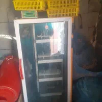 دستگاه جوجه کشی ۲۵۲ عددی