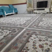 فرش ۶ متری|فرش|سنندج, |دیوار