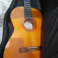 گیتار فرلاندو