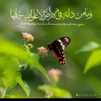 راهنمایی