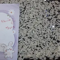 برنج طارم هاشمی ممتاز فریدونکنار کله‌بست
