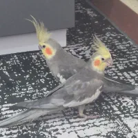 ۲۸۰۰۰۰۰