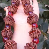 میخک خوش بو|بدلیجات|لردگان, |دیوار