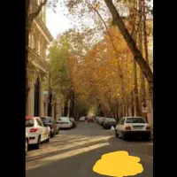 ویلایی-کوی-فرهنگ