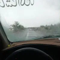 سمند مدل 81|خودرو سواری و وانت|بافت, |دیوار