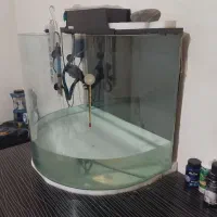 آکواریوم و لوازم