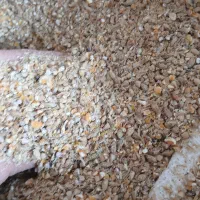 جوزرتدرجهیک|عمدهفروشی|مهران (ایلام), |دیوار