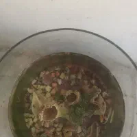 آکواریوم