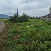 فروش-333-متر-زمین-با-سند-تک-برگ-در-اطراف-نصیرمحله