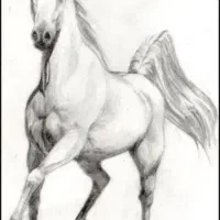 نقاشی حرفه ای کودکان و بزرگسالان قوچان قوچان|خدمات آموزشی|قوچان, |دیوار