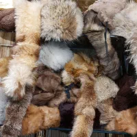 کلاه پوست طبیعی کلاه روسی اصل|لباس|تهران, جوادیه تهرانپارس|دیوار