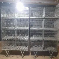 قفس هشت خان پژاوندوجفت خان