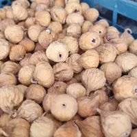 انچیرسفید گوشتی در کوار|خوردنی و آشامیدنی|شیراز, بید زرد|دیوار